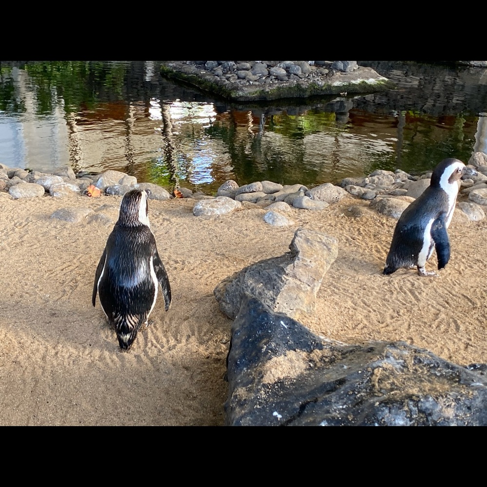 Meet your Posher, Lyndsi